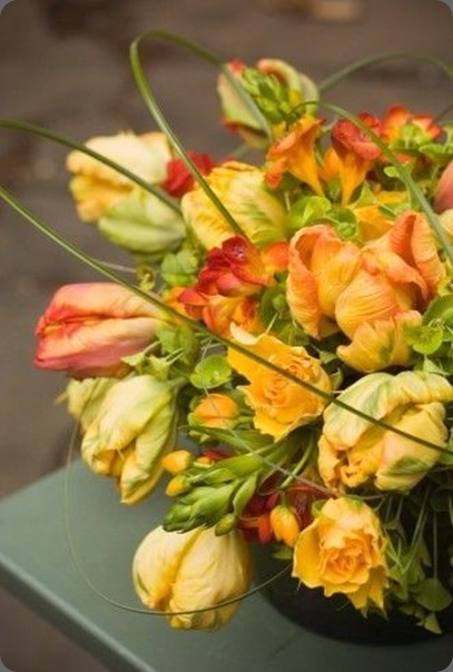 yellow-and-orange-tulips-roses-freesia-Françoise-Weeks