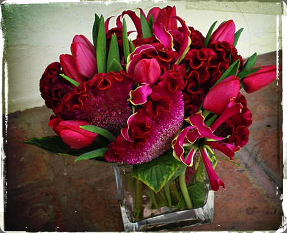 pave-01-BIG camelback flower shop