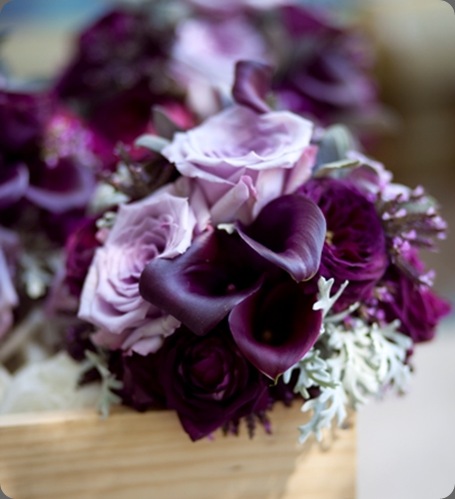 2022Kristi-2 - Copy (2) katharina stuart