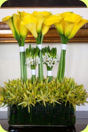 [brilliant_festivities_2010_11_lglila.jpg]