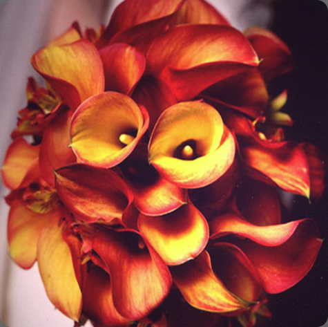 Picture 12 michael daigian