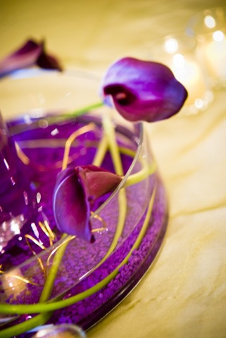 [DSC_01441685x1024flourishdesigns.com[2].jpg]