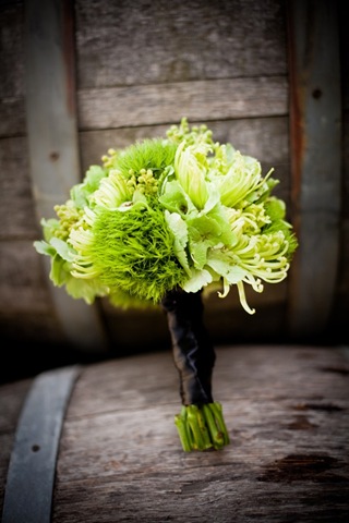 [KristyHustonPhotography_022682x1024b.jpg]