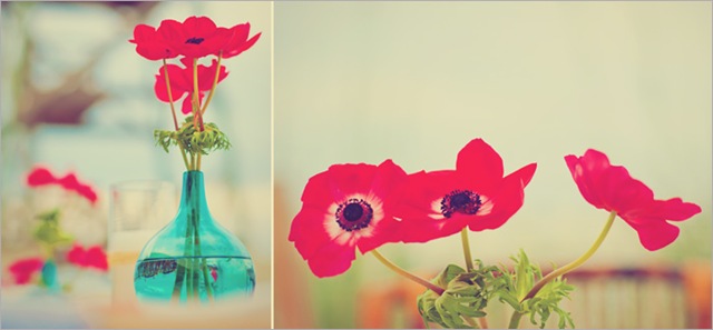 [ab009w.scottchester5.jpg]