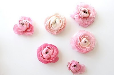 [IMG_4503concreteandhoney6.jpg]