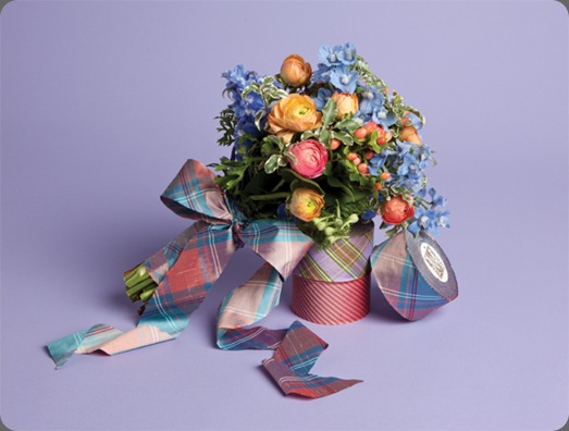 def midori ribbon.com