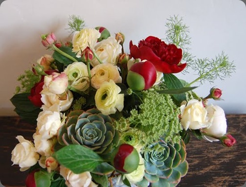 DSC_0010 small stump blogspot w