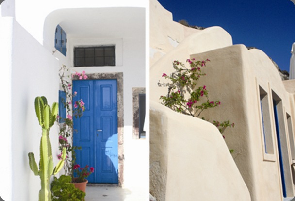 6a00d83452476169e2013489370fd8970c-450wi things are better with a parrott typepad