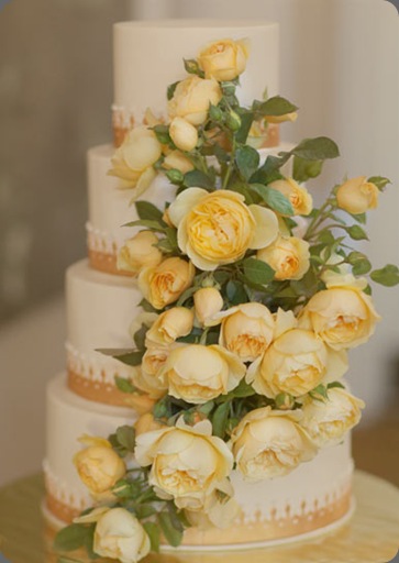 6a0120a5914b9b970c013487f7d674970c-800wi florali 6a0120a5914b9b970c013487f7d674970c-800wi florali