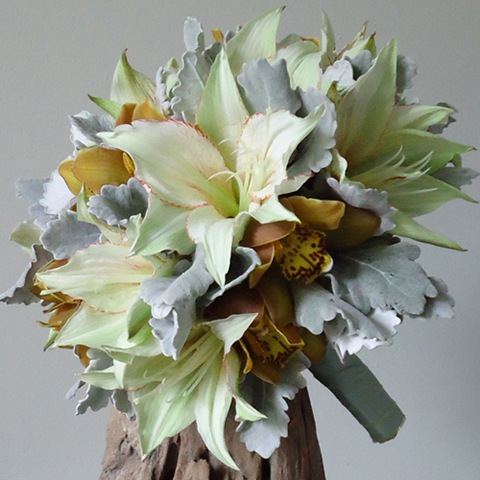 [201011150332amaryllisLaVieCarinacymb.jpg]