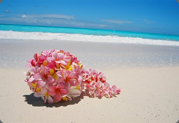 FL000028-770305 aloha island weddings