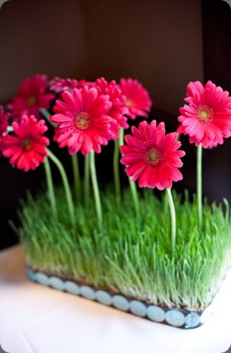 IMG_0364 bella weddings &events JL Designs