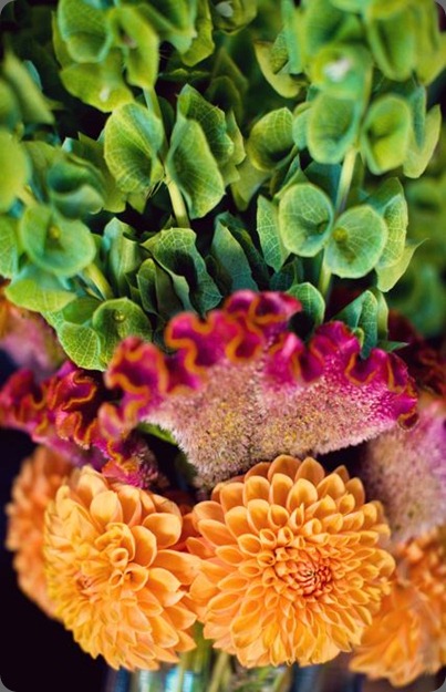 Meg_Rahul-10341 soulflower