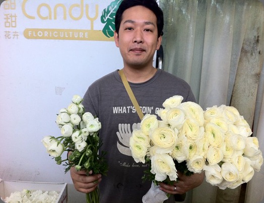 chinese ran. (left) japanese ran. (rt) japan bloom