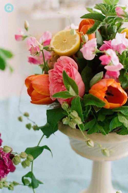 [Pollen-Floral-Art-Sabia-tm-crosspoll.jpg]