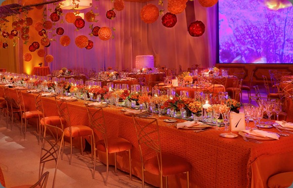 slide5 david kurio design