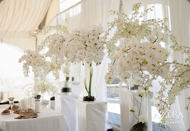 white-phalaenopsis-orchids-wedding-flowers  flora nova seattle