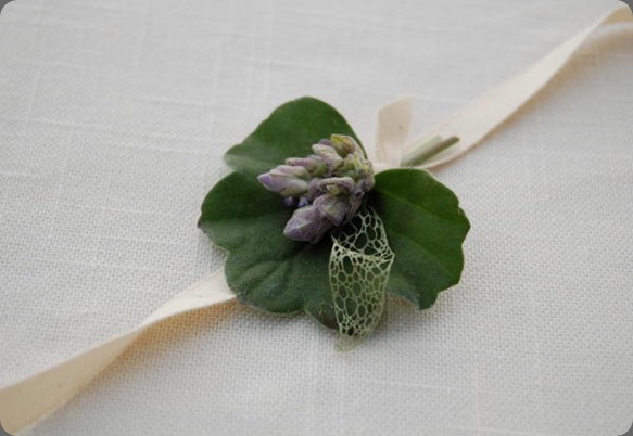 MFGGeraniumRibbon the monkey flower group MFGGeraniumRibbon the monkey flower group