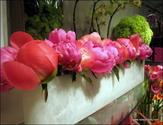 Coral Charm & Jules Ely Peonies in marble vessell hilary miles flowers