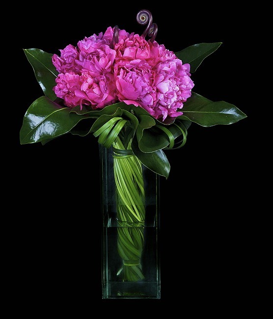 [Plush Peonies[6].jpg]