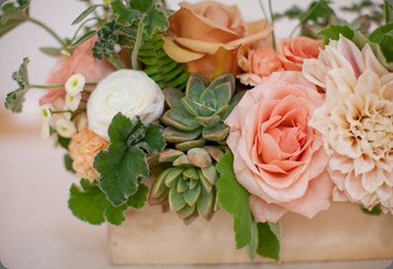 217 dandelion ranch and sweet and suaucy 217 dandelion ranch and sweet and suaucy