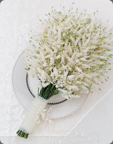 mwa104448_win09_dreamy_xl astilbe martha stewart mwa104448_win09_dreamy_xl astilbe martha stewart