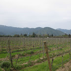 IMG_0395.JPG