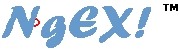 Sylva Nze Ifedigbo at Ngex