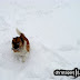 DSC07949.JPG