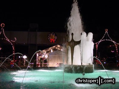 This is christoperj|[.com]: Christmas Lights: Richardson Public Library