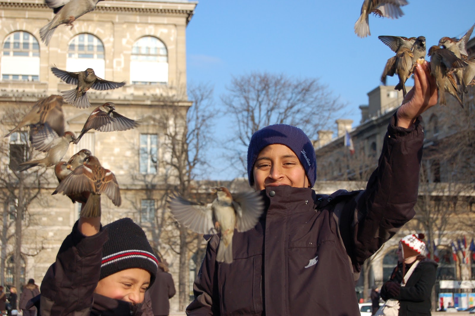 [DSC_2401.JPG]