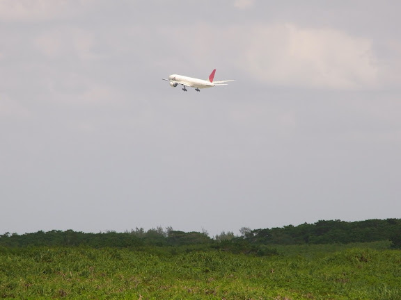 R0012385.JPG