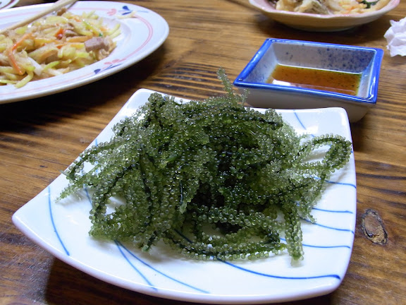 R0013002.JPG