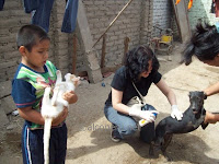huacho2010 (12).jpg
