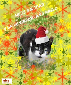 m_m_TARJETA DE NAVIDAD2.jpg