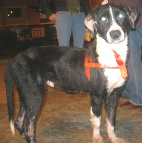 negrito2.JPG
