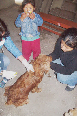 desparasitacion cieneguilla34.JPG