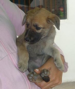 m_YULIANASILVERA@HOTMAIL.jpg