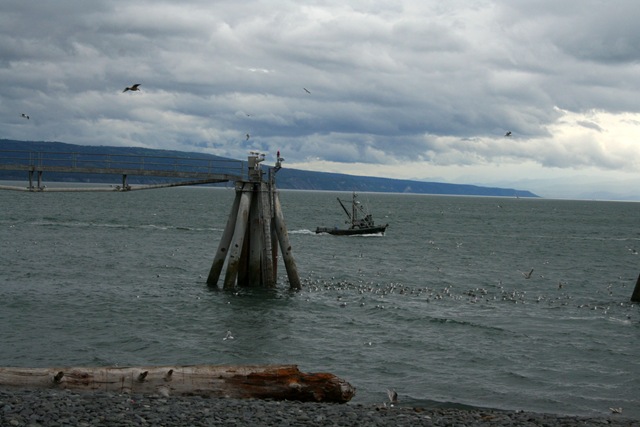 [IMG_08884.jpg]