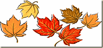 fall leaves