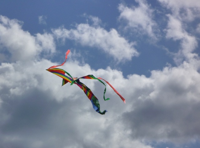 [03 kite[3].jpg]