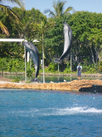 [21 seaworld dolphin show[3].jpg]
