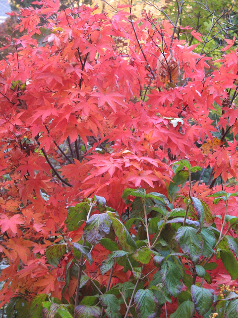 image310.jpg