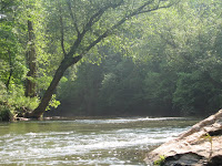 IMG_1142.jpg Photo