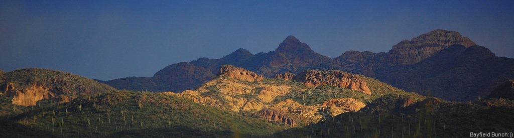 [DSC_6841[2].jpg]
