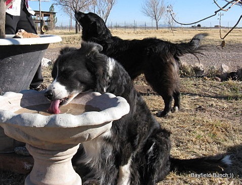 [IMG_1428[2].jpg]