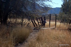AN OLD BROKEN GATE ON THE PATHWAY