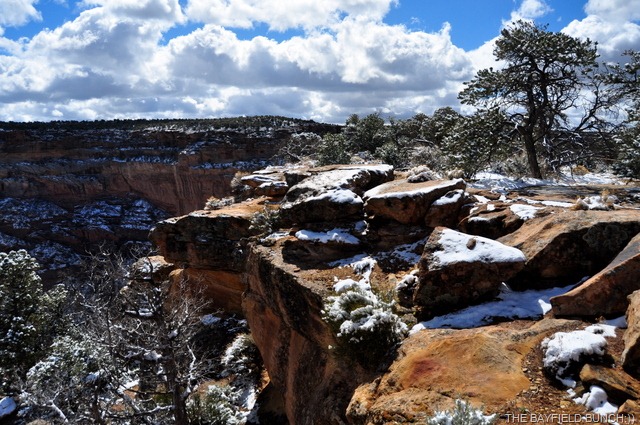 [DSC_0097[5].jpg]