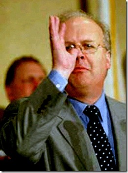 Karl Rove irreverant