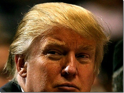 The Donald The Donald